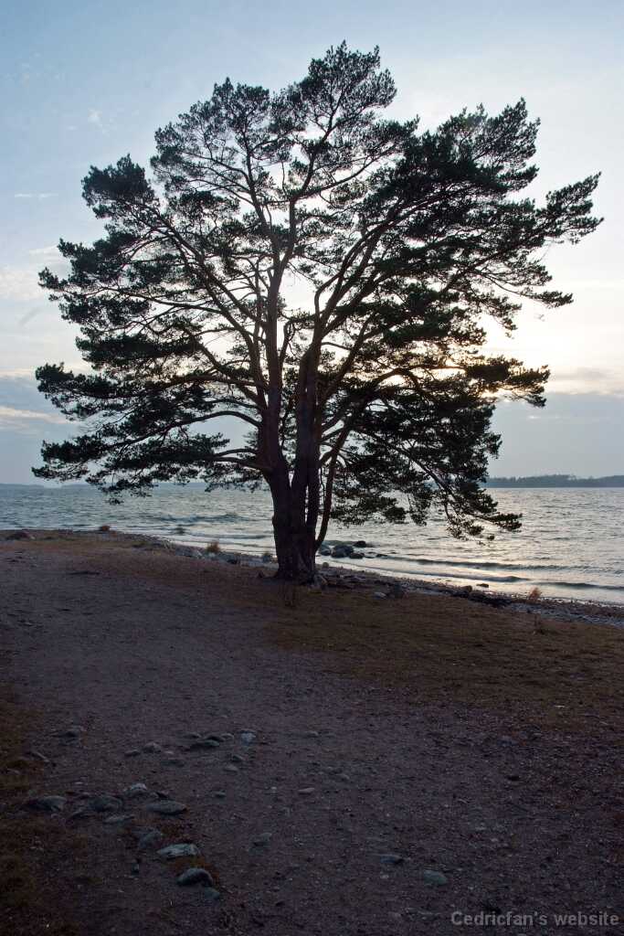 DSCF2525