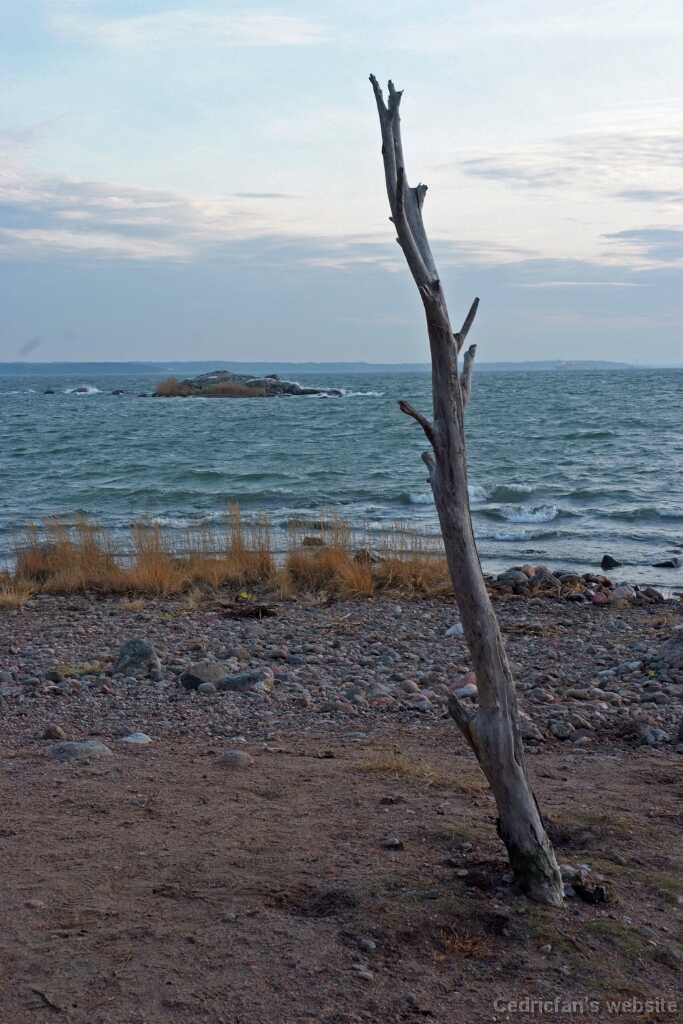 DSCF2532