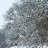 10 02 February winter