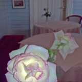 10 08 scenes and misc