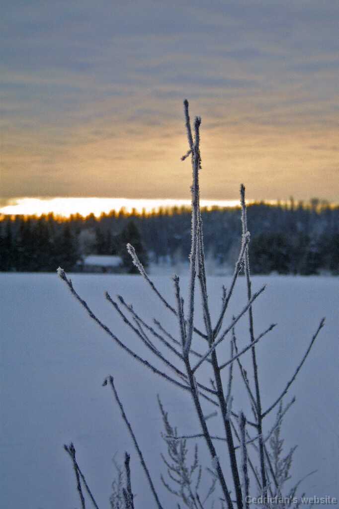 IMG_6977