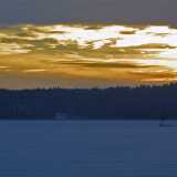 IMG_6957
