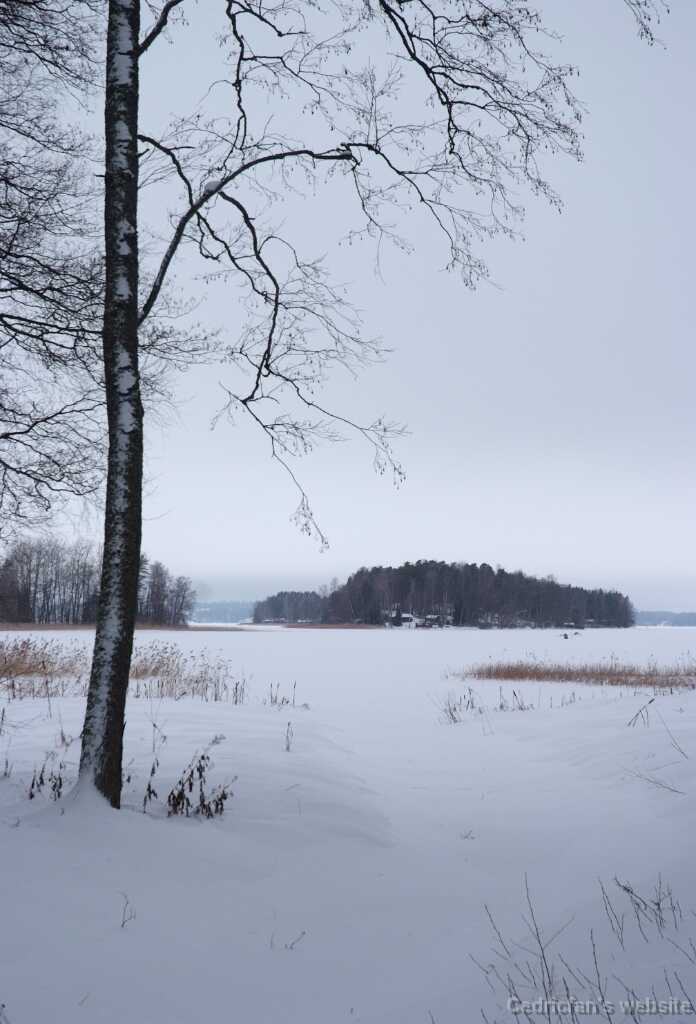 DSCF2706