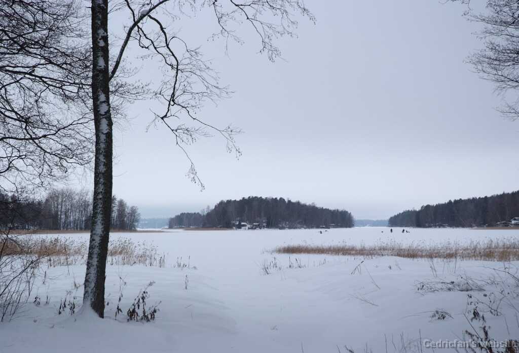 DSCF2707