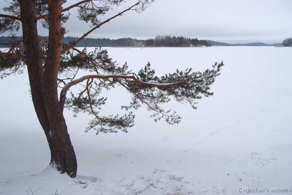 DSCF2711