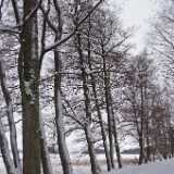 DSCF2708