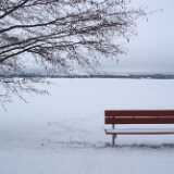 DSCF2710