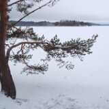 DSCF2711