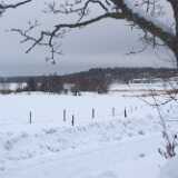 DSCF2782