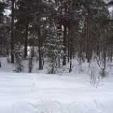 DSCF2783