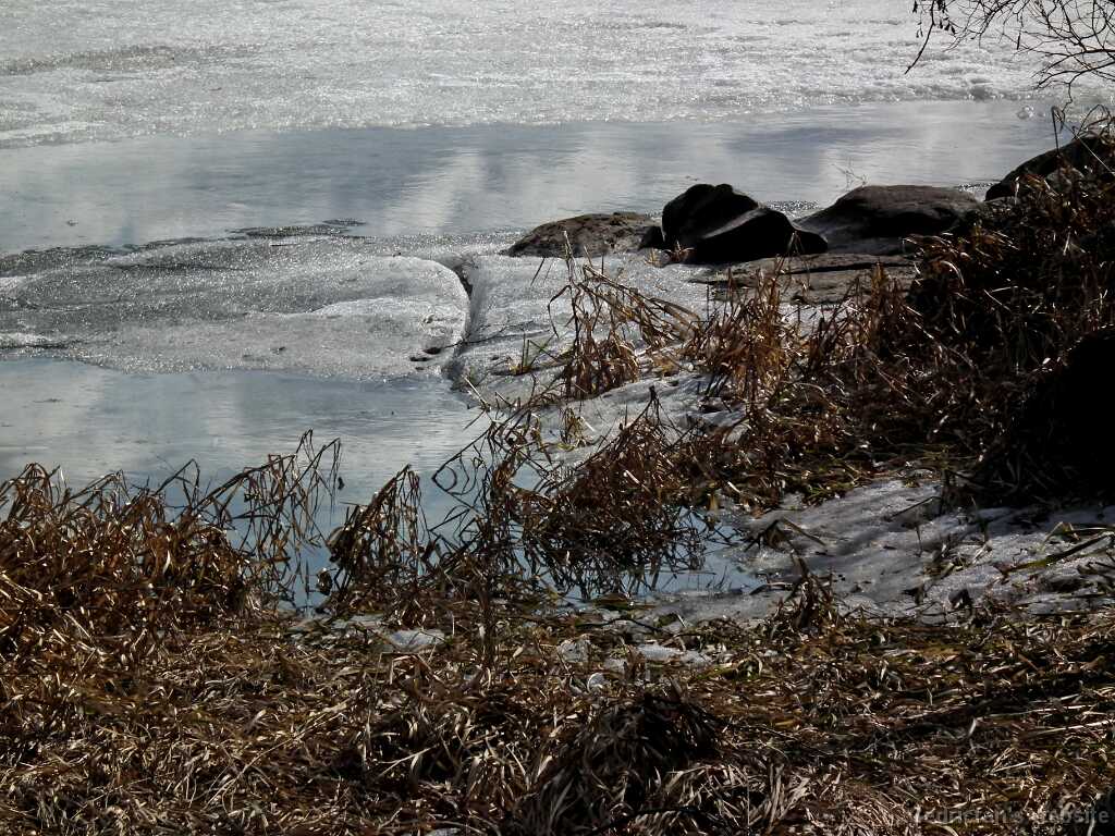 DSCF2603