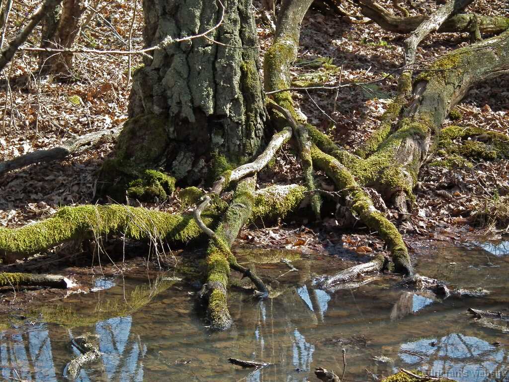 DSCF2642