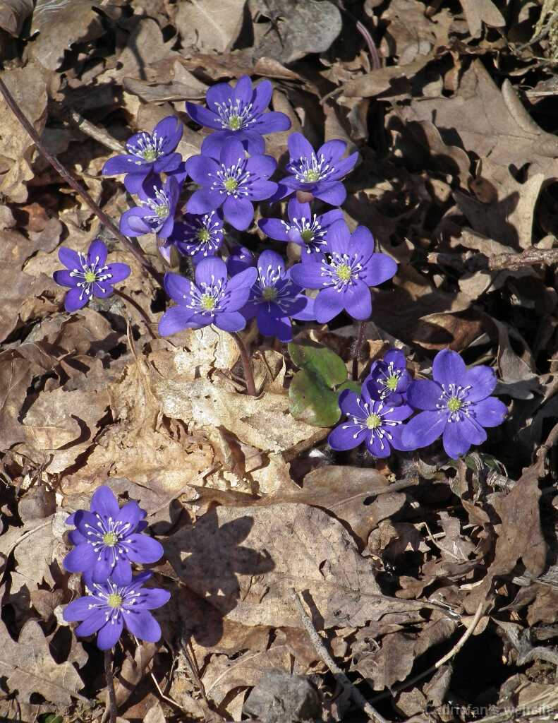 DSCF2658