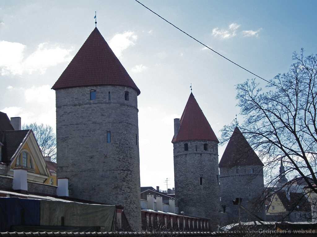 DSCF2567