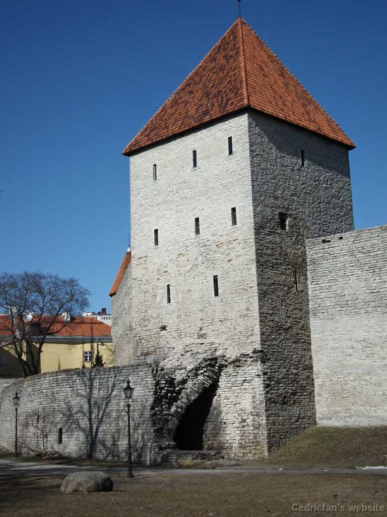 DSCF2573