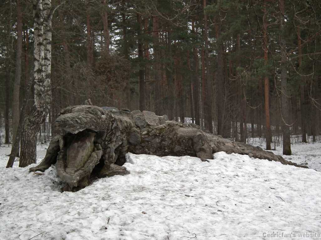 DSCF2585