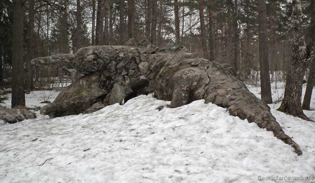 DSCF2588