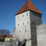 DSCF2573