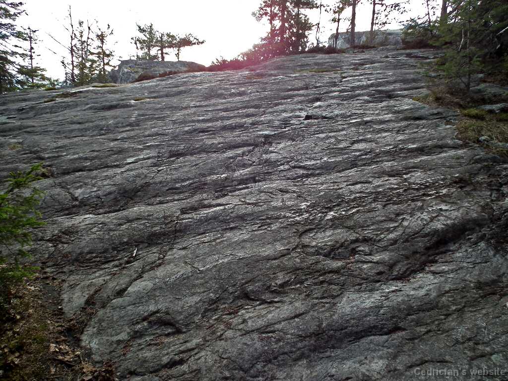 DSCF3040