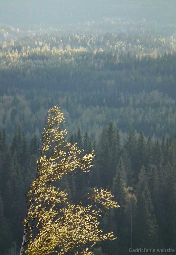 DSCF3077