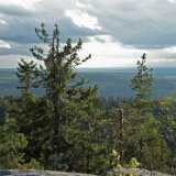 DSCF3074
