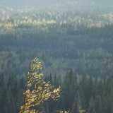 DSCF3077