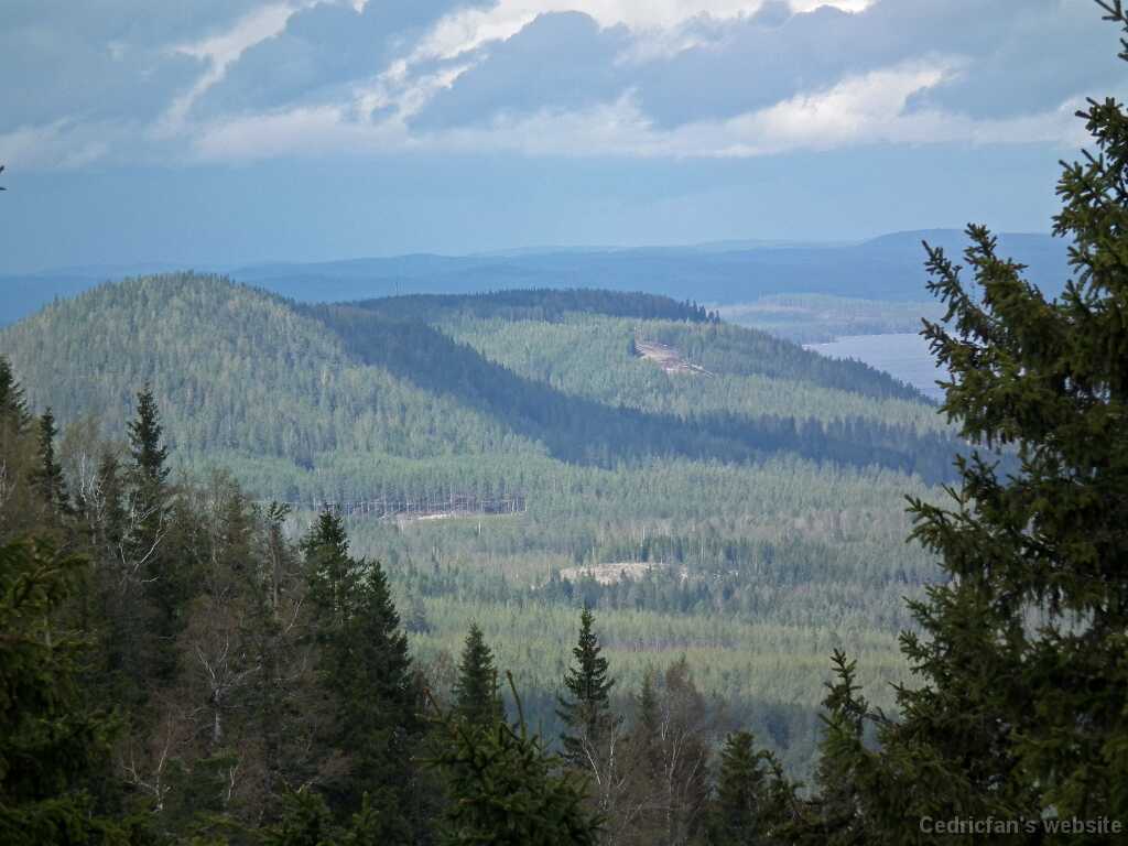 DSCF2995