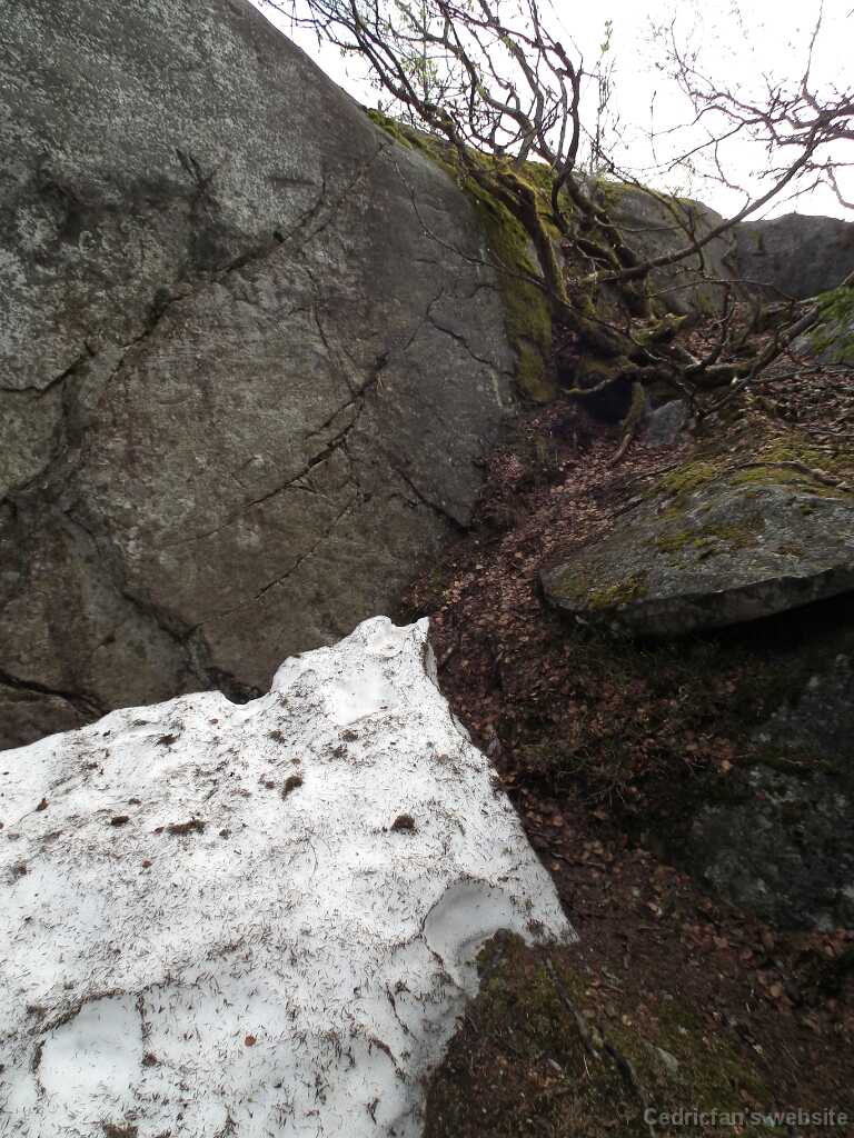 DSCF3031