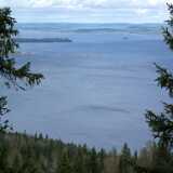 DSCF2993