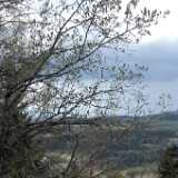 DSCF2999