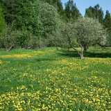 DSCF6001