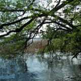 DSCF6030