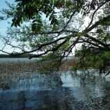 DSCF6031