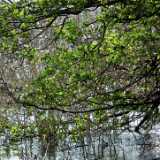 DSCF6033