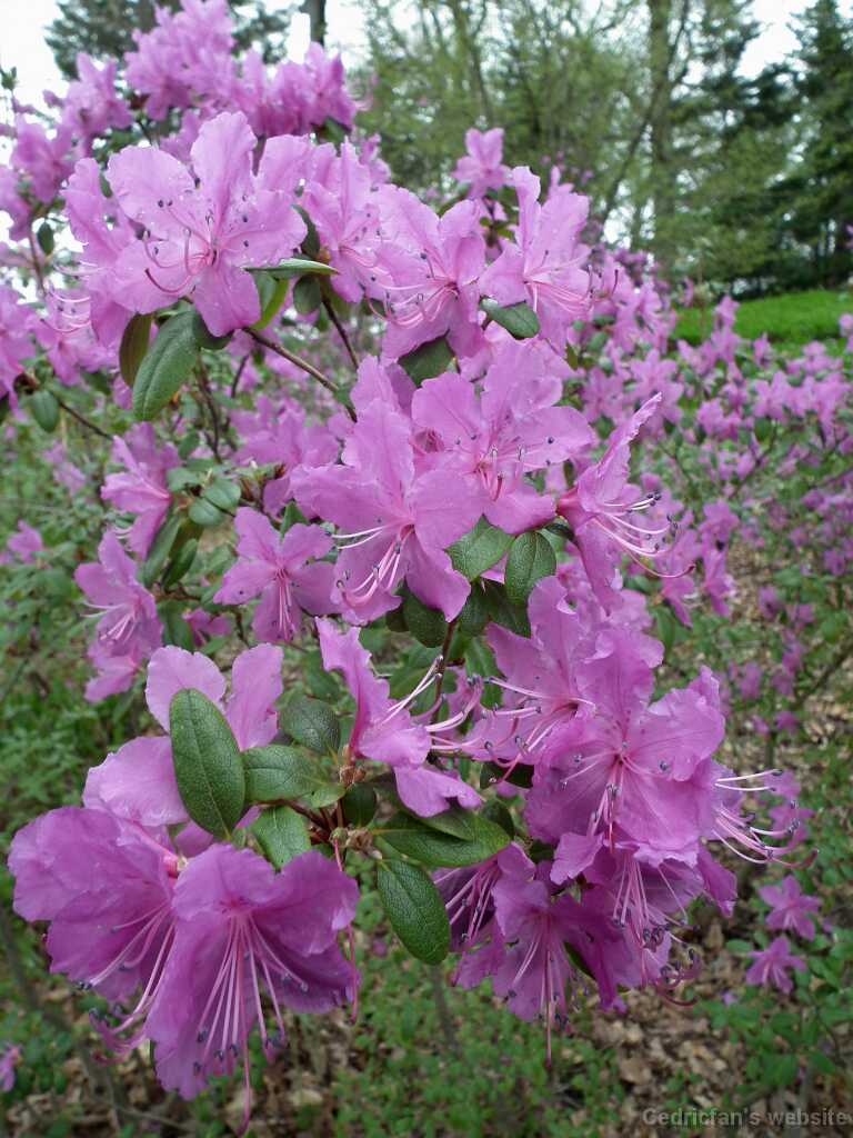 DSCF2973