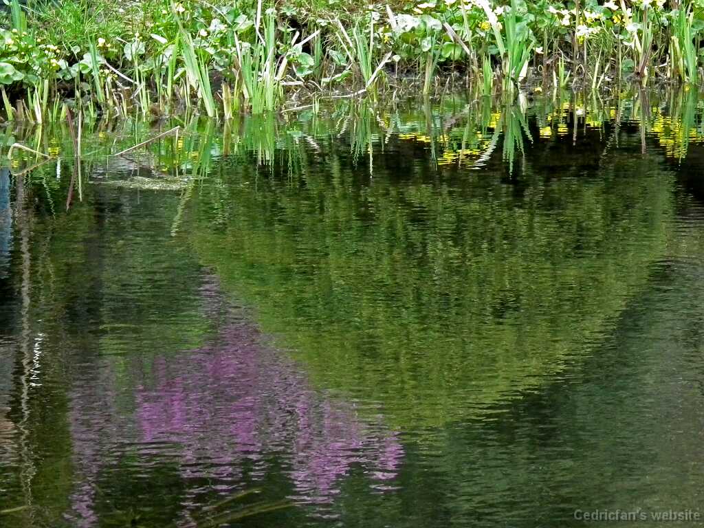 DSCF2978