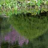 DSCF2978