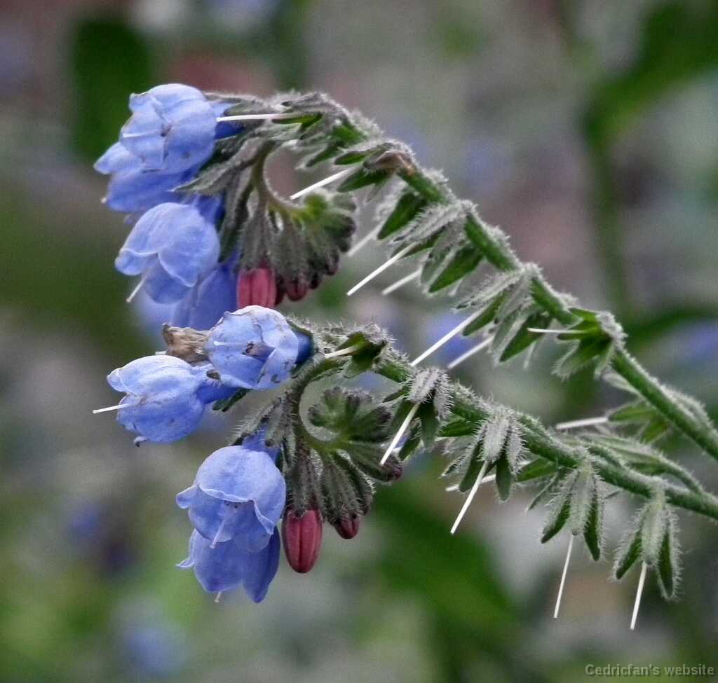 DSCF6597
