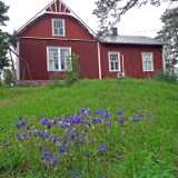DSCF6595