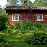 DSCF6610