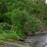 DSCF6614