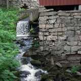 DSCF6617