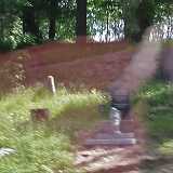 DSCF6571