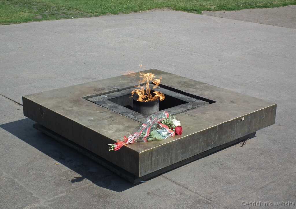 DSCF6324