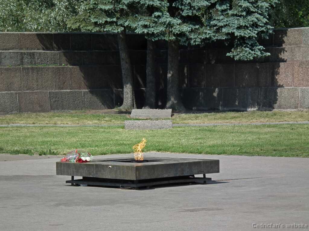 DSCF6325