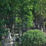 DSCF6188
