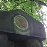DSCF6203