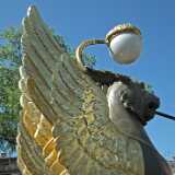 DSCF6226