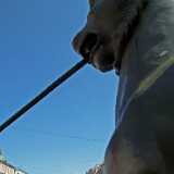 DSCF6229