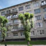 DSCF6560